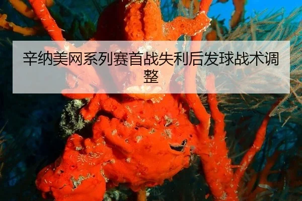 xin-na-mei-wang-xi-lie-sai-shou-zhan-shi-li-hou-fa-qiu-zhan-shu-tiao-zheng-3-227.jpg